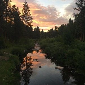 Meet your Posher, Leslie